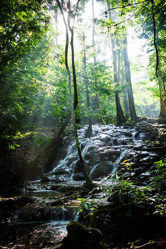 voyage trip forest waterfall thaïlande cascade foret thailande phangnga worldtour tourdumonde changwatphangnga tambonnoppring