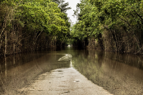 road trees green water weather canon eos texas flood ef2470mmf28lusm flooded 6d