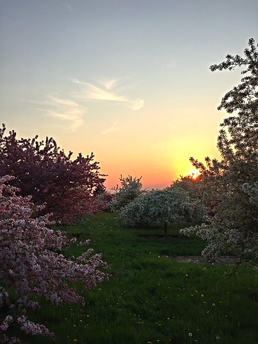 sunset ohio sun nature colors beauty fun spring amazing may arboretum wooster 2015 secrest