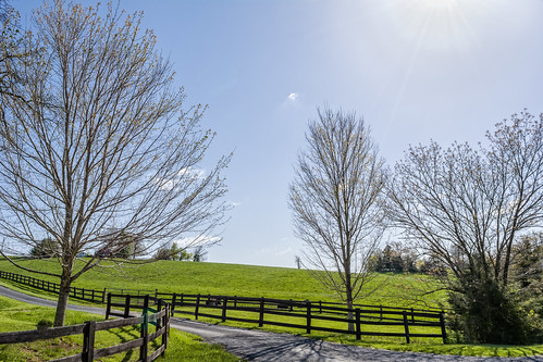 plant tree field fence virginia us unitedstates structure land staunton