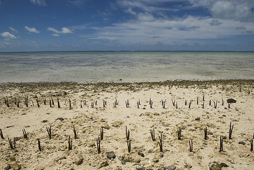 島國吉里巴斯受氣候變遷引響甚鉅；圖片來源：United Nations Photo