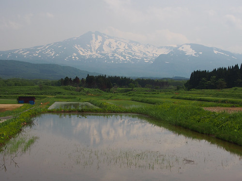 mountain snow reflection water field japan rice 日本 山 雪 akita 秋田 鳥海山 mtchokai 田 水鏡 nikaho にかほ