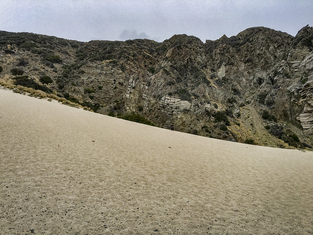 Malibu sand dune
