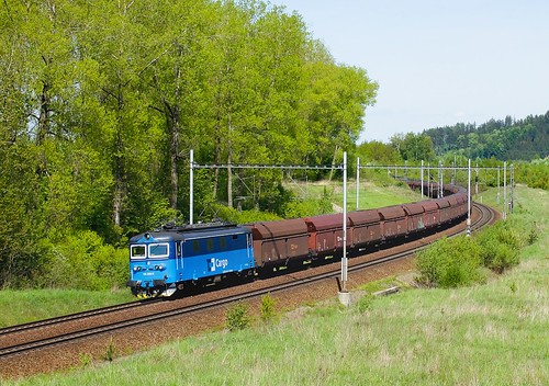 trees train landscape railway