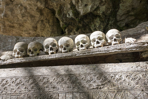 toraja indonesia skull coffin grave hank888 5d canon5d