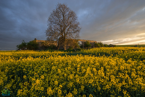 light sunset m1 derbyshire fields rapeseed lodgefarm palterton suttonscarsdale