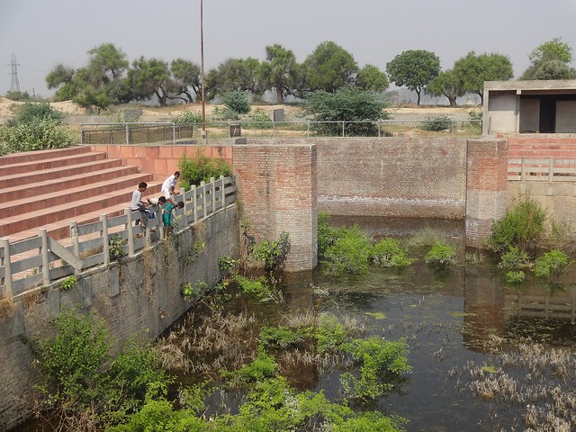 The pond is surrounded by a tall wall from all sides with no access to the waters.