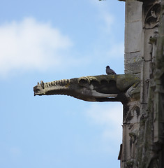 Gargoyle on the church Saint-Ouen in Pont-Audemer
