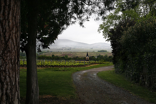 green church nature landscape wineyard