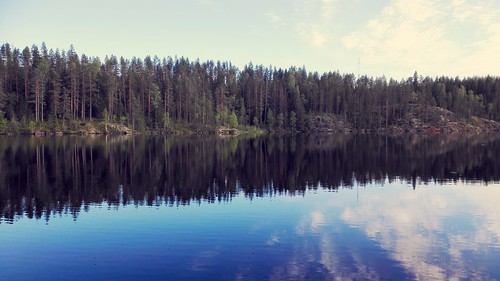 lake finland lieviskä summer water forest