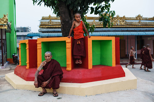 portrait asia burma monk buddhism monastery monks myanmar novice lashio
