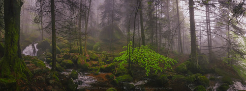 panorama fog forest lumix waterfall schwarzwald blackforest mystic lx100 gertelbach