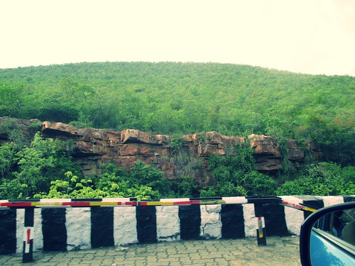 hills seven andhra eastern pradesh ghats ttd tirupathi afforestation tirumala