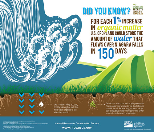 Niagra Falls infographic