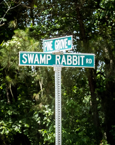 Swamp Rabbit Road