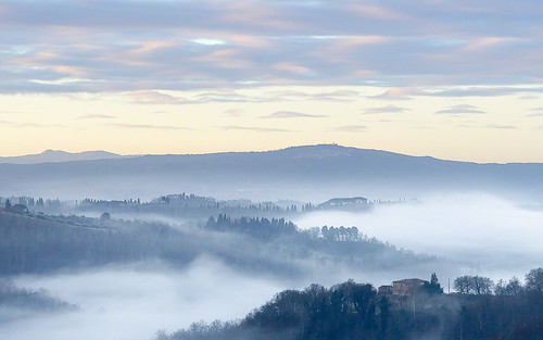 trees italy mist clouds sunrise tuscany villas buonconvento