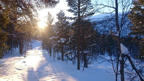 vinter troms isog statskog fjelltjenesten oppsyn snømelding