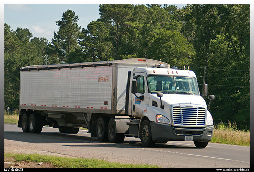 truck day cab grain lorry camion trailer cascadia lastwagen lkw freightliner getreide lastkraftwagen auflieger timpte