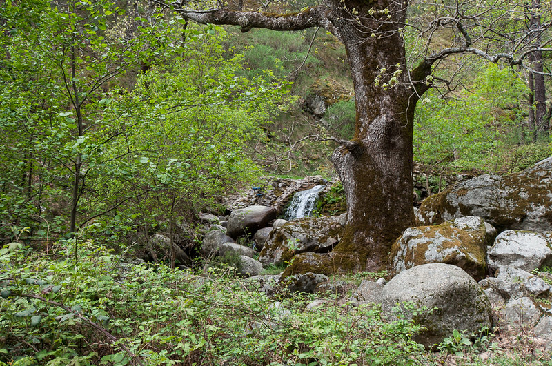 La Presa del Horcajo en Piedralaves
