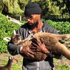 He was loving this! Wait, I think it was a she.   Skippy & I  at the Sunflower Animal Farm in Margaret River.  Thank you @melbcomedyfestival #sunfloweranimalfarm #margaretriver #micfRoadshow #LaughBeatings #micf #micf2015 #standupcomedy #haitianKangar