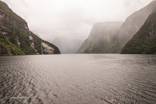 newzealand mountain water landscape coast moody sound southland lowcloud landscapephotography outdoorphotography