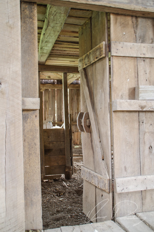 Through The Barn Door