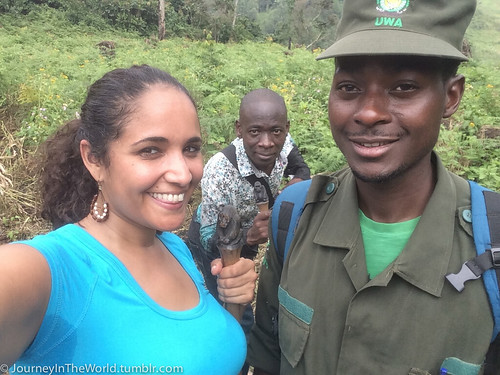uganda gorilla trekking bwindi africa vacation tourism wildlife forest national park nature views