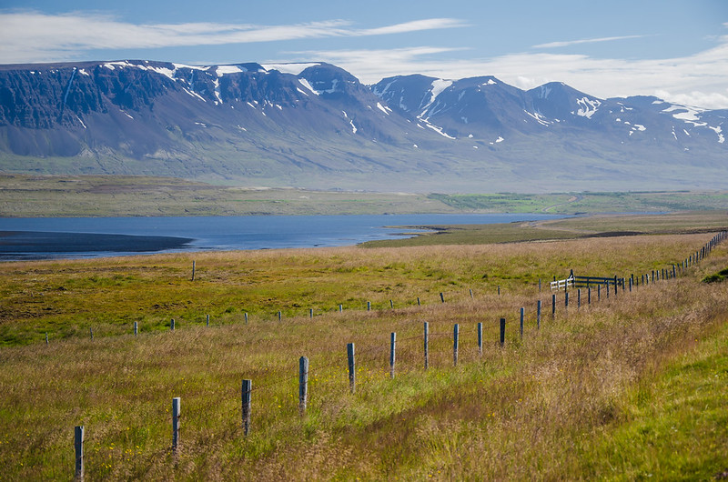 Islandia o como viajar al planeta del hielo y el fuego - Blogs de Islandia - Día 7: Bienvenidos al norte. (10)