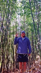 Bamboo Forest in Miyazu Garden