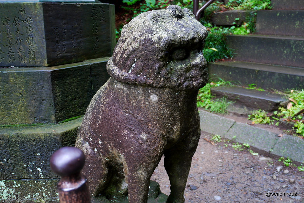 鹽竈神社　狛犬