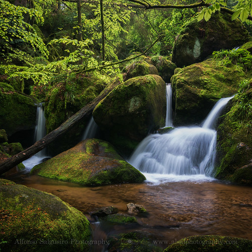 forest river germany lumix waterfall spring schwarzwald blackforest lx100 gertelbach dmclx100