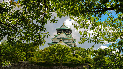 city trees summer urban castle leaves japan digital asia sony jp osaka fullframe eastasia osakacastle cmos osakaprefecture a99 dslt sonya99