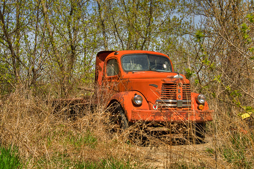 old trees red orange wisconsin rural truck canon vintage rust rusty brush hidden abandon rusted rusting hiding wi deserted reo deteriorating juda judawi t5i