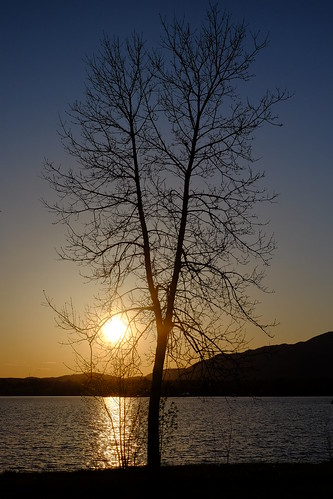 sunset lake canada tree spring magog québec fujifilm arbre fujinon printemps montorford coucherdesoleil estrie lacmemphrémagog xt1 classicchrome xf35mmf14r