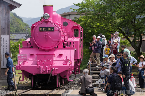 Pink SL at Wakasa Railway (20)