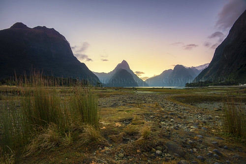 sunset newzealand mountains cold rocks insects adventure swamp southisland plains seafront milfordsound bushes southland fiords phototrip mitrepeak fiordland