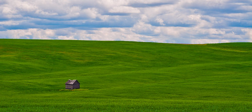 old blue sky green abandoned clouds barn farm wheat rollinghills watervilleplateau watervillewa