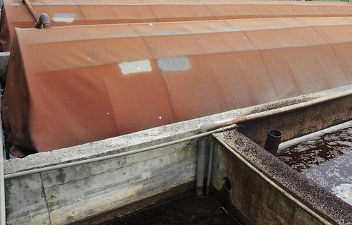 養豬場的汙水處理設備，需處理過後才能放流。攝影：陳文姿。