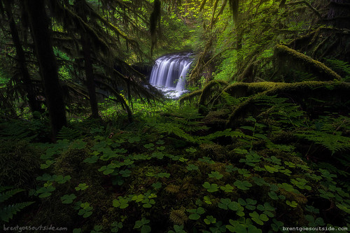 travel nature water oregon landscape waterfall spring nikon may wideangle columbiarivergorge 2015 d610 upperbuttecreek