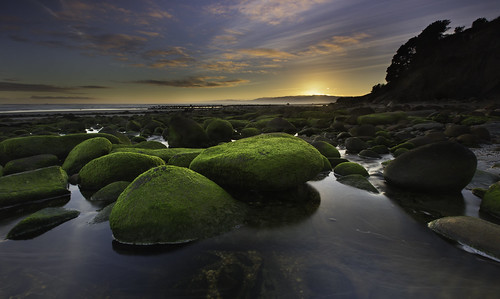 newzealand seascape green sunrise landscape jamesgibson