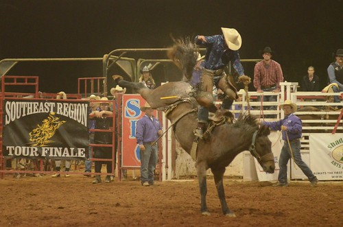 saddlebronc rodeo cowboy flying irpasoutheastrodeofinals qcarena gayga