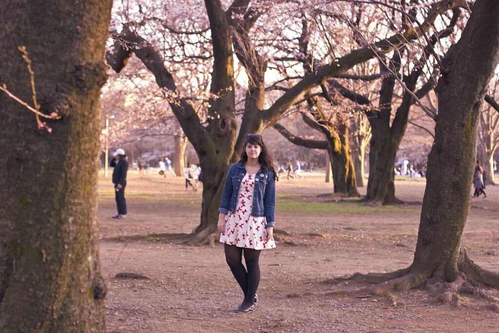 nishe bow dress tokyo sakura cherry blossom festival laila tapeparade yoyogi park
