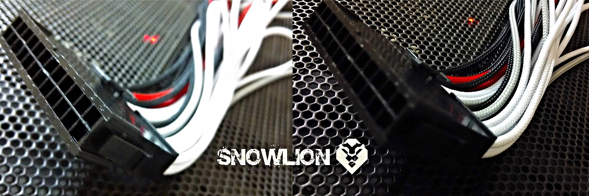 snowlion53