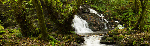 river río bosque forest panorámica panoramic waterfall cascada