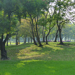 Park-scenery