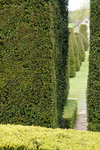 The Yew Garden