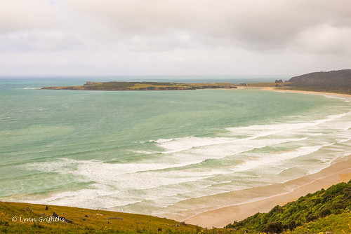 newzealand beach water landscape bay coast otago landscapephotography papatowai outdoorphotography