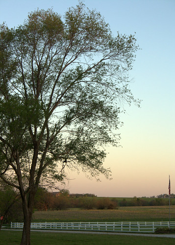 vacation sky usa cloud clouds sunrise dawn us skies unitedstates unitedstatesofamerica mo missouri cass belton 2015 casscounty beltonmissouri beltonmo canoneos1000d canoneosdigitalrebelxs casscountymissouri casscountymo vacation2015 kansascityvacation2015