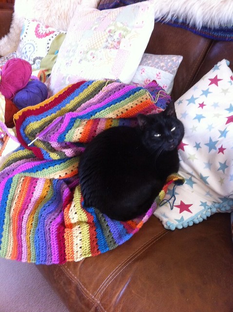 sleepy Flo on blanket (2)