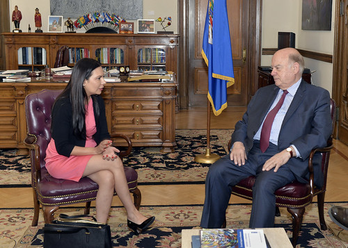 OAS Secretary General Met with the President of the Foreign Affairs Committee of the Senate of Mexico